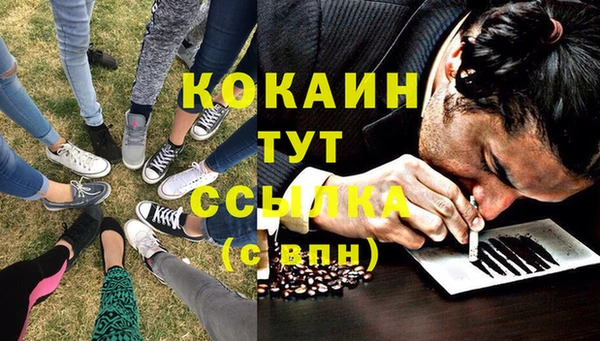 мет Алзамай