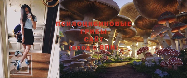 тгк Саяногорск