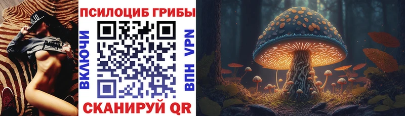 Галлюциногенные грибы MAGIC MUSHROOMS Киселёвск