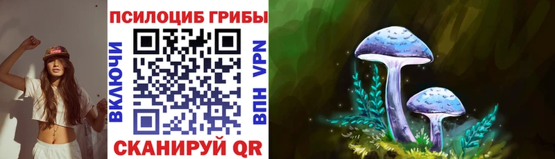 Галлюциногенные грибы GOLDEN TEACHER ссылка на мегу онион Киселёвск наркошоп